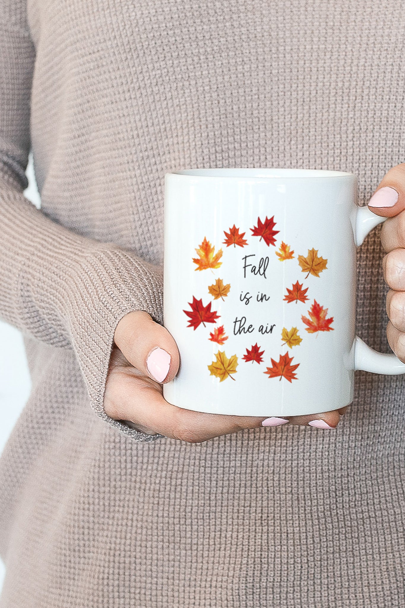 Fall Is In The Air Mug